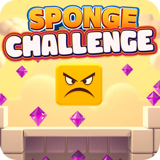 Sponge Challenge